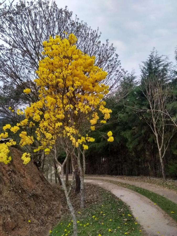 Pousada Erva Doce Monte Alegre do Sul Exterior foto